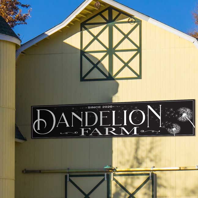 Dandelion Farm with est. date on black background with white dandelions blowing in the wind