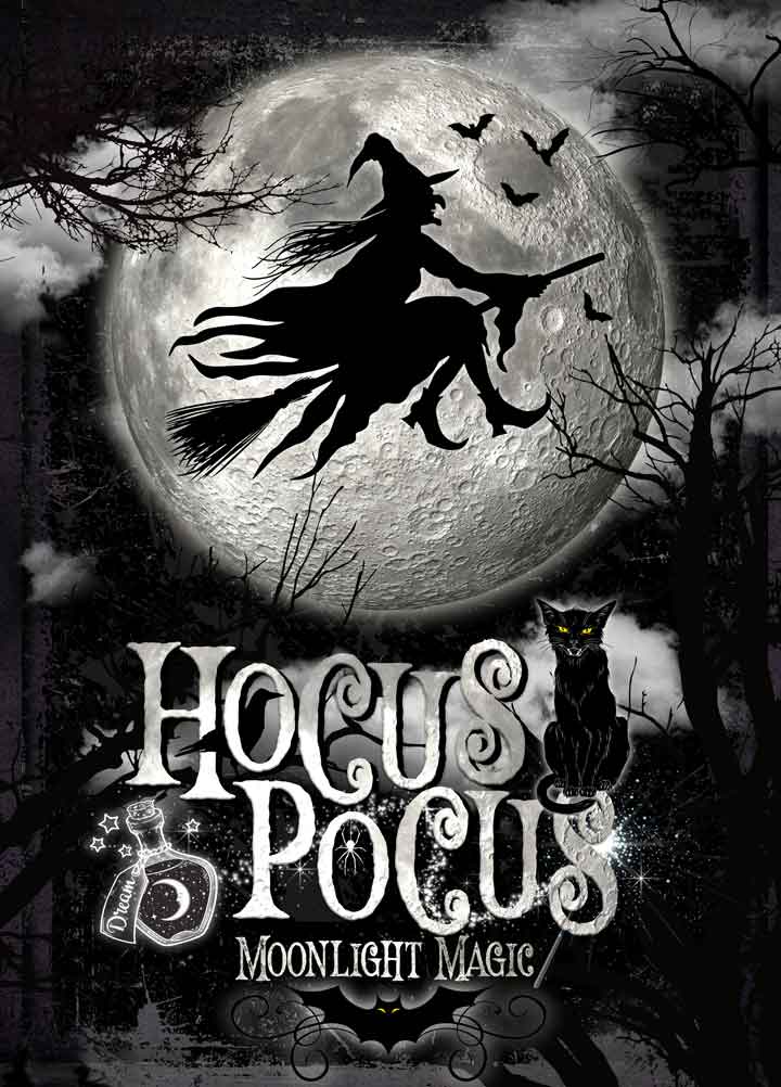 Hocus Pocus Halloween Decor on black background and a cloudy night and a wicked witch is flying in the moonlight with words Hocus Pocus