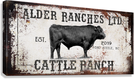 cattle ranch sign decor of a bull with family name and est date, city and state.