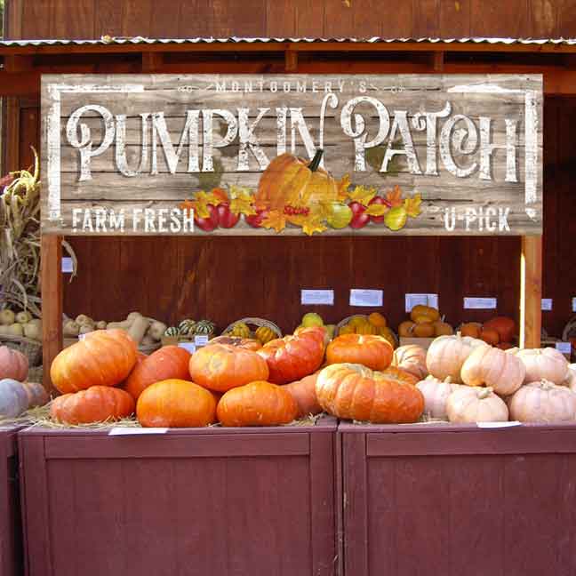 Fall sign decor Family name pumpkins farm fresh u-pick on faux wood background and white text