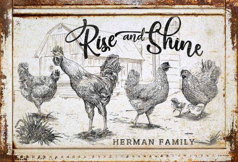 Rooster Decor of rustic drawn chickens and a rooster on a rusty faux frame.