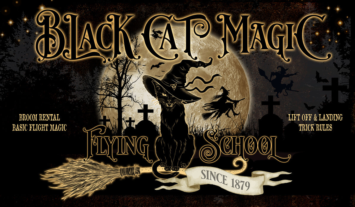 Halloween Wall sign - Black Cat Magic Flying School Hocus Pocus - on black with a moon and cat, witch  silhouette with bats flying