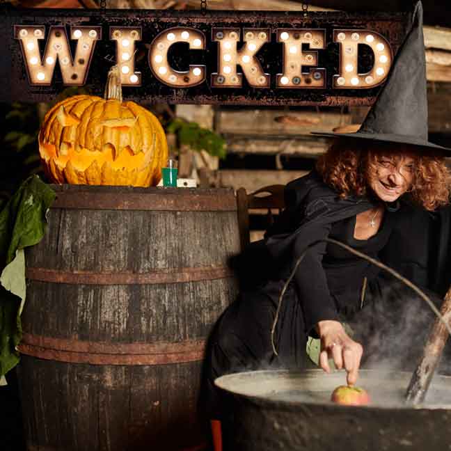 Wicked Witch Halloween Sign with faux marquee lights that say Wicked