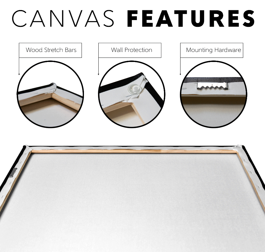 Canvas features with wood stretch bars, wall protection, and mounting hardware on a white background.