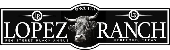 Cattle ranch sign with image of angus cow with horns, family name and location