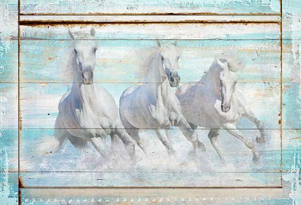 coastal wall decor of horses running on the beach on teall distressed wood framed sign