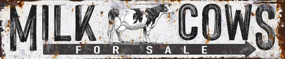 milk cows for sale large metal distressed barn sign.