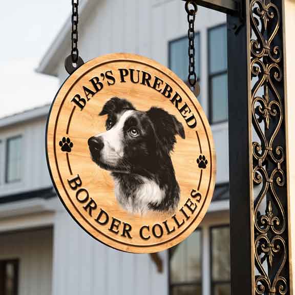 Farm Sign ideas of a faux wooden sign with a border collie illustration and text 'Bab's Purebred Border Collies' hanging against a building.