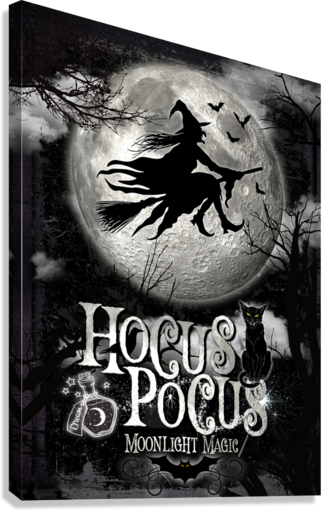 halloween sign hocus pocus with a witch flying pass the moon and a cat sitting on the S