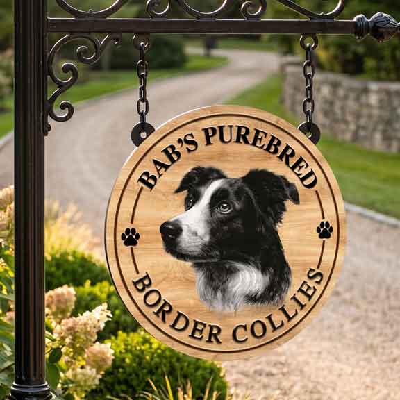 Personalized metal farm signs faux wood - sign with a border collie illustration and text 'Bab's Purebred Border Collies' hanging outdoors.