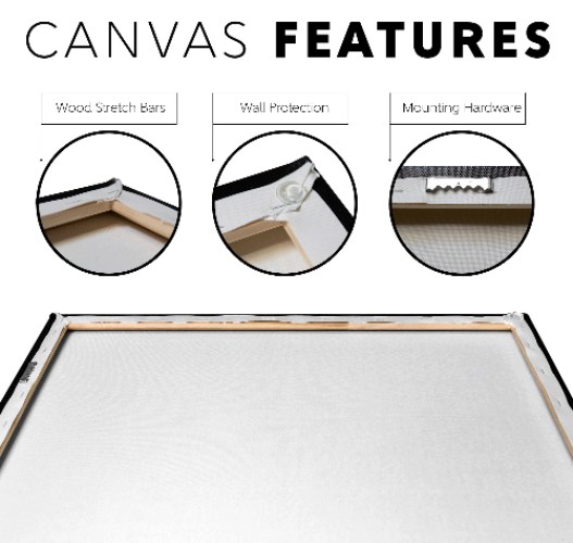 special_Order_Canvas_Features_Mockup.png