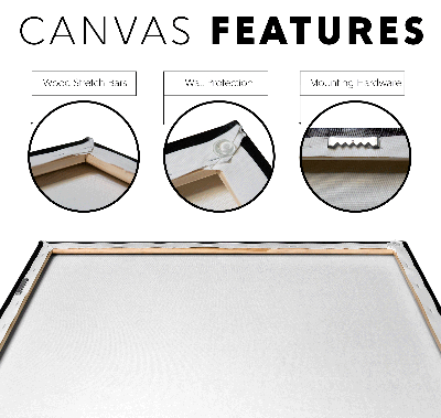 white_horse_Canvas_Features_Mockup.png
